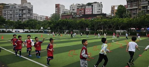 课堂游戏体育,“课堂游戏在体育教学中的创新应用与效果分析”(图3) 课堂游戏体育,“课堂游戏在体育教学中的创新应用与效果分析”(图3)