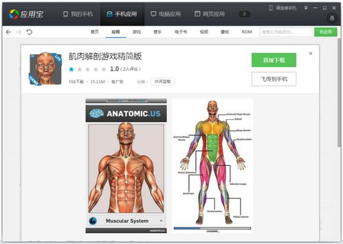 2021人体解剖图谱 (图2)