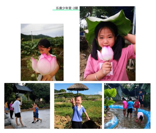 亲自然游戏,亲自然游戏促进儿童身心发展的探索与实践”(图1) 亲自然游戏,亲自然游戏促进儿童身心发展的探索与实践”(图1)