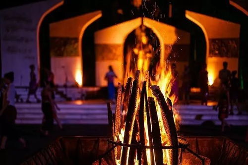 篝火互动游戏,创意互动游戏盛宴”(图3) 篝火互动游戏,创意互动游戏盛宴”(图3)