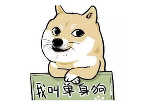 寻找单身狗游戏,趣味与心酸并存的虐狗游戏体验(图3) 寻找单身狗游戏,趣味与心酸并存的虐狗游戏体验(图3)