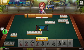2人麻将游戏,两人世界里的智慧对决(图3) 2人麻将游戏,两人世界里的智慧对决(图3)