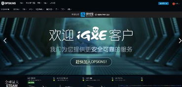 op游戏交易,探索Op游戏交易的魅力与攻略(图1) op游戏交易,探索Op游戏交易的魅力与攻略(图1)
