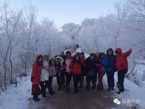 百人户外游戏,团队协作与欢乐并存的挑战之旅(图3)