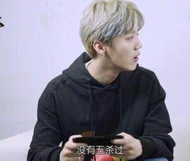 鹿晗喜欢什么游戏,探寻他的游戏世界(图2) 鹿晗喜欢什么游戏,探寻他的游戏世界(图2)