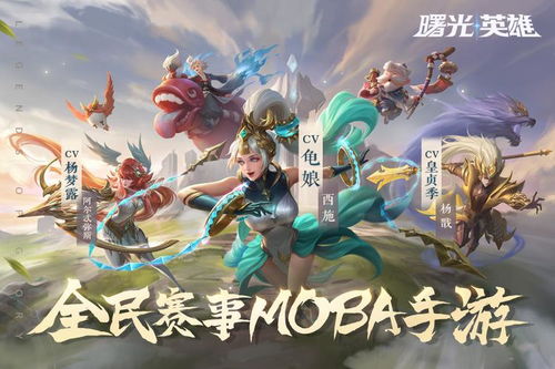 游戏渠道服,渠道服在游戏行业中的角色与影响(图2) 游戏渠道服,渠道服在游戏行业中的角色与影响(图2)