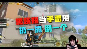 能搞鸡的游戏,探索能搞鸡游戏的无限魅力(图3) 能搞鸡的游戏,探索能搞鸡游戏的无限魅力(图3)