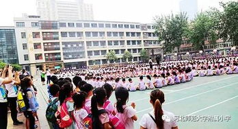 传递瓶子游戏,传递瓶子游戏的团队精神与效率提升(图3) 传递瓶子游戏,传递瓶子游戏的团队精神与效率提升(图3)