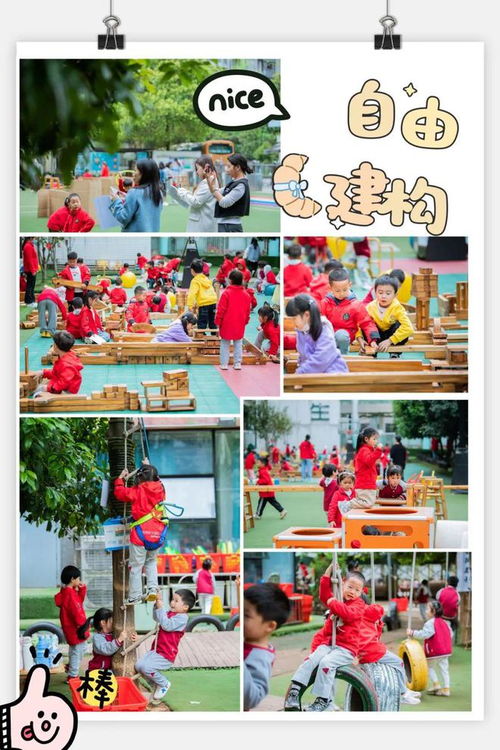 幼儿生态游戏,自然与成长的和谐交响(图3) 幼儿生态游戏,自然与成长的和谐交响(图3)