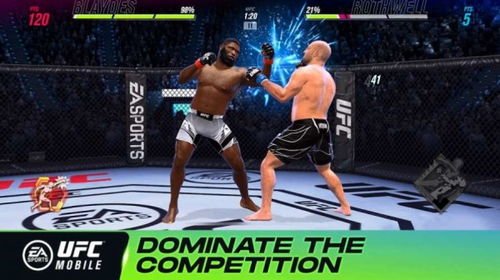 ufc终极格斗游戏安卓,体验真实格斗盛宴(图2) ufc终极格斗游戏安卓,体验真实格斗盛宴(图2)