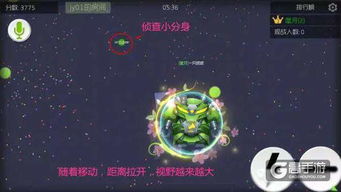 角度球游戏,角度球技巧解析与实战攻略(图2) 角度球游戏,角度球技巧解析与实战攻略(图2)