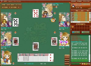 大怪路子游戏,大怪路子牌技传承与挑战(图3)
