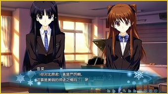 经典乙女游戏,经典乙女游戏盘点与推荐(图3) 经典乙女游戏,经典乙女游戏盘点与推荐(图3)