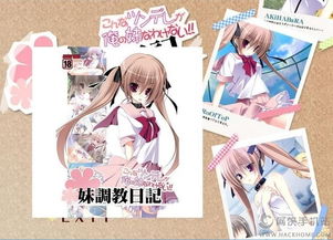 调教妹妹手机游戏,调教妹妹手机游戏攻略全解析(图1) 调教妹妹手机游戏,调教妹妹手机游戏攻略全解析(图1)