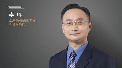 李峰游戏,从挑战者到守护者的蜕变之旅(图3) 李峰游戏,从挑战者到守护者的蜕变之旅(图3)