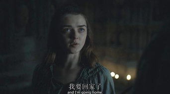权利的游戏arya,坚韧不拔的复仇女神之路(图3) 权利的游戏arya,坚韧不拔的复仇女神之路(图3)