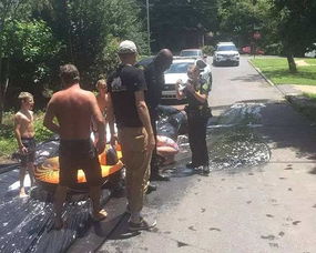 警察j游戏,体验警察生活的惊险刺激(图2) 警察j游戏,体验警察生活的惊险刺激(图2)