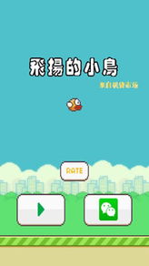 小鸟水管游戏,探索小鸟水管游戏的乐趣与技巧(图3) 小鸟水管游戏,探索小鸟水管游戏的乐趣与技巧(图3)