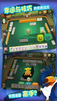 通化大嘴游戏,体验不一样的棋牌乐趣(图3) 通化大嘴游戏,体验不一样的棋牌乐趣(图3)