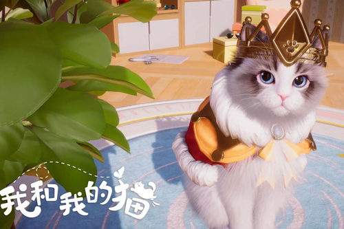 养猫猫的游戏,探索热门养猫游戏的奇幻之旅(图3) 养猫猫的游戏,探索热门养猫游戏的奇幻之旅(图3)