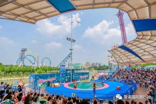 郑州市游戏,探索城市娱乐新天地(图2) 郑州市游戏,探索城市娱乐新天地(图2)
