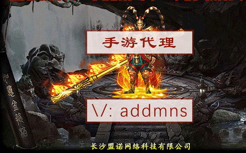 海外游戏代理,市场机遇与挑战解析(图2) 海外游戏代理,市场机遇与挑战解析(图2)