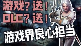 良心游戏厂商,良心游戏厂商盘点(图1) 良心游戏厂商,良心游戏厂商盘点(图1)