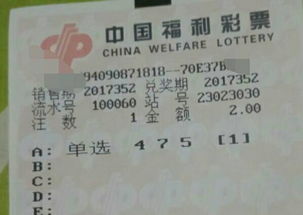游戏跟单,盈利策略与风险控制全解析(图2) 游戏跟单,盈利策略与风险控制全解析(图2)