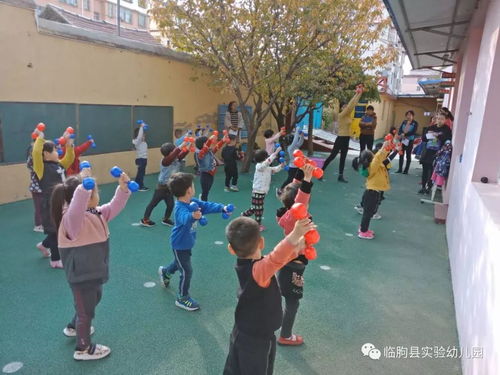 早操游戏音乐,探索早操游戏音乐的魅力与教育价值”(图2) 早操游戏音乐,探索早操游戏音乐的魅力与教育价值”(图2)