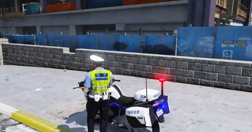 中国警察游戏,中国警察游戏体验全解析(图3) 中国警察游戏,中国警察游戏体验全解析(图3)