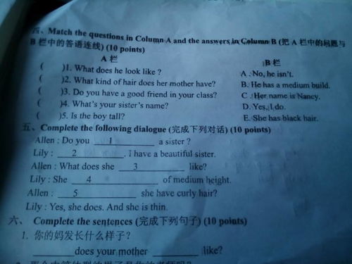 初一英语游戏,初一英语课堂游戏全攻略”(图3) 初一英语游戏,初一英语课堂游戏全攻略”(图3)
