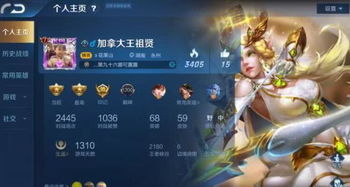 游戏人生皮肤,探索虚拟世界的个性魅力(图2) 游戏人生皮肤,探索虚拟世界的个性魅力(图2)