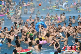 水中玩的游戏,盘点十大水上及水底游戏体验(图1) 水中玩的游戏,盘点十大水上及水底游戏体验(图1)