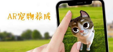 现实抓宠游戏,探索现实抓宠游戏的无限魅力(图3) 现实抓宠游戏,探索现实抓宠游戏的无限魅力(图3)