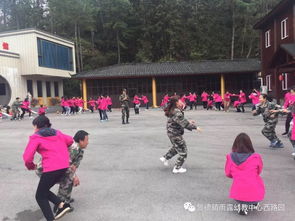 松鼠大树地震游戏,锻炼团队协作与应变能力”(图1) 松鼠大树地震游戏,锻炼团队协作与应变能力”(图1)