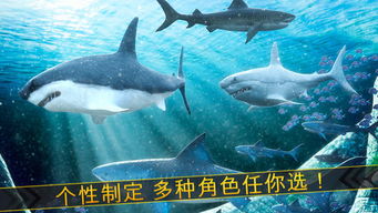 游戏王海鲨,揭秘游戏王中的海洋霸主传奇(图3) 游戏王海鲨,揭秘游戏王中的海洋霸主传奇(图3)