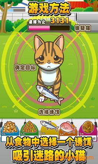寻找游戏猫,盘点最受欢迎的猫主题游戏(图1) 寻找游戏猫,盘点最受欢迎的猫主题游戏(图1)