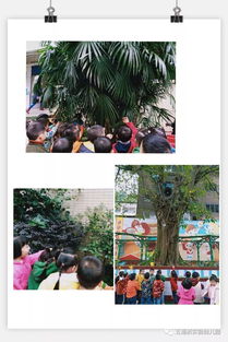 抱大树游戏,抱大树游戏的乐趣与教育意义”(图1) 抱大树游戏,抱大树游戏的乐趣与教育意义”(图1)