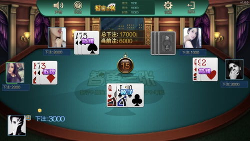 三公纸牌游戏,刺激纸牌竞技新体验(图2) 三公纸牌游戏,刺激纸牌竞技新体验(图2)