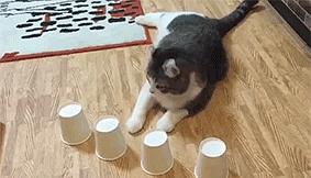 猜杯子游戏,一场视觉与心理的较量(图1) 猜杯子游戏,一场视觉与心理的较量(图1)