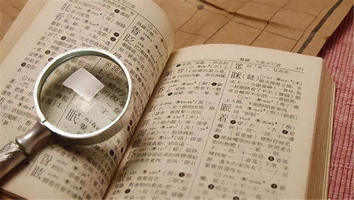 姓氏游戏名,趣味数学与姓氏文化的巧妙融合(图2) 姓氏游戏名,趣味数学与姓氏文化的巧妙融合(图2)