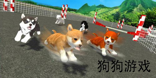 打狗狗游戏,盘点最受欢迎的狗狗主题游戏(图3) 打狗狗游戏,盘点最受欢迎的狗狗主题游戏(图3)