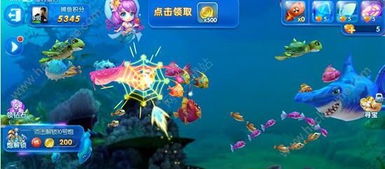 打鱼游戏换,技巧、策略与热门游戏推荐(图3) 打鱼游戏换,技巧、策略与热门游戏推荐(图3)