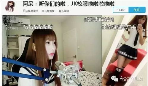 游戏主播资料,类型、代表与职业发展解析(图2) 游戏主播资料,类型、代表与职业发展解析(图2)