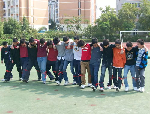集体游戏项目,集体游戏项目精选指南(图1) 集体游戏项目,集体游戏项目精选指南(图1)