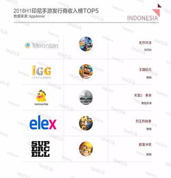 游戏发行收入,新势力崛起(图2) 游戏发行收入,新势力崛起(图2)