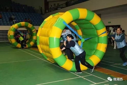 动感五环游戏技巧,提升平衡与默契的团队训练法”(图1) 动感五环游戏技巧,提升平衡与默契的团队训练法”(图1)