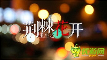 荆棘橙光游戏,穿越奇幻世界的文字冒险之旅(图3) 荆棘橙光游戏,穿越奇幻世界的文字冒险之旅(图3)