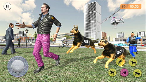 警察犬游戏,勇敢驯犬师的3D游戏体验(图1) 警察犬游戏,勇敢驯犬师的3D游戏体验(图1)