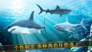 我想看鲨鱼游戏,鲨鱼游戏精选大盘点(图3) 我想看鲨鱼游戏,鲨鱼游戏精选大盘点(图3)